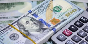 “El Gobierno está tratando de lograr una dolarización endógena”