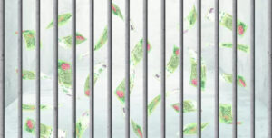 Gracias a los cambios de Inocencia Fiscal, ir a prisión por evasión será casi imposible